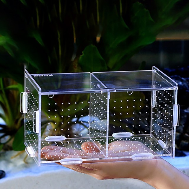 アクアリウムの水槽の隔離ボックスアクリルグッピーの隔離ボックスing化ボックス稚魚稚魚ベタ L20 x W10 x